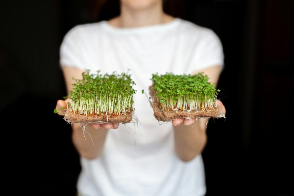 Microgreens provide essential nutrients, boost the immune system, support brain health, and are easy to digest, making them highly beneficial for special children.